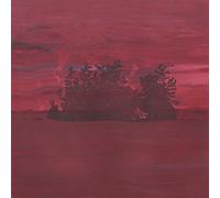 Besnard Lakes - Are The Divine Wind [Vinilo]