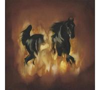 Besnard Lakes - Besnard Lakes Are the Dark Horse by Besnard Lakes (2007) Audio CD