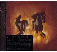 Besnard Lakes, the - are The Dark Horse [Import]