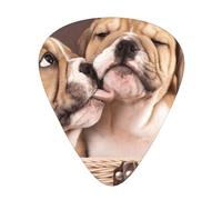 Beso de cachorros de bulldog inglés,12 púas de guitarra, 3 grosores diferentes para guitarra acústica, bajo y ukelele