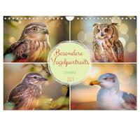 Besondere Vogelportraits (Wandkalender 2027 DIN A4 quer), CALVENDO Monatskalender: Wir zeigen Vögel in einer Intensität, die man selten so nah erlebt: ... Blicke und Farben, die wie gemalt wirken.