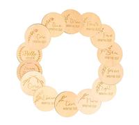 BESPORTBLE 14piezas Letrero de Madera Meses de Crecimiento Tarjetas para Recién Nacidos de Tarjetas de Madera para Decoración del Hogar Marcador de Dibujos Animados Artículos para Recién Naci