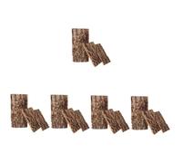 BESPORTBLE 15piezas Decoración Natural De para y Terrarios De para Reptiles y Peceras