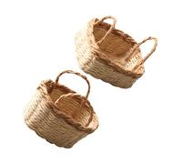 BESPORTBLE 2 Piezas Mini Cestas Tejidas Mano Juego de Miniatura para Casa de Muñecas Contenedores Decorativos Compactos y Detallados para Coleccionistas y Manualidades
