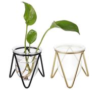 BESPORTBLE 2 Piezas Plantas Hidropónicas De Potasio Florero con Soporte Florero para El Hogar Florero De Planta Hidropónica Jarrón De Cristal con Soporte Florero De Vidrio Metal