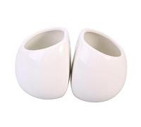 BESPORTBLE 2piezas Maceta De para Pared Colgante Redonda para Suculentas y Jardinería Interior