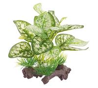 BESPORTBLE 3 Piezas Plantas Acuáticas Artificiales Eucalipto Árbol Plantas De Reptiles Juguete Lámpara De Calor para Reptiles Bomba De Pescado Almohadilla Aireador Pajarera Agua El Plastico