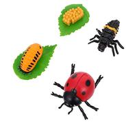 BESPORTBLE 4 Piezas Figuritas del Ciclo de para Decoración Infantil y Aprendizaje Educativo Juguete de Crecimiento