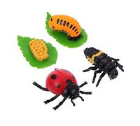 BESPORTBLE 4 Piezas Figuritas Educativas del Ciclo de Juguete para Decoración y Aprendizaje