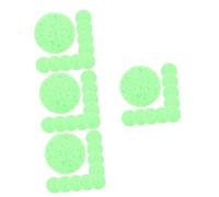 BESPORTBLE 40 Piezas Esponja hidratante de Cangrejo Esponja de Limpieza para Cangrejo ermitaño Esponja para Cangrejo ermitaño de mar esponjas Plato de Agua Esponja ermitaño Light Green