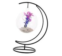 BESPORTBLE Acuario De Escritorio Pecera De Cristal Colgante Diseño Delicado Multifunción Adecuado para Peces Betta Suministro para Peces (Color Aleatorio)