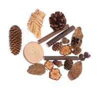 BESPORTBLE Adornos Naturales de Piñas Secas, Hojas y Bloques de Madera Rústica para Decoración Interior, Set Vintage de Frutos Secos para Accesorios Fotomatográficos y Centro de Mesa