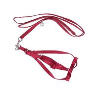 BESPORTBLE Arnés Ajustable para Aves Exóticas Correa para Periquitos y Loros Diseño Ergonómico Color Rojo para Paseos Al Aire