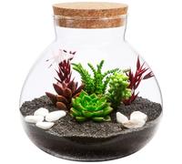 BESPORTBLE Botella de cristal redonda ecológica con tapa de corcho de 15 cm x 16 cm, hermética, micro paisaje, para almacenamiento de plantas suculentas y musgo