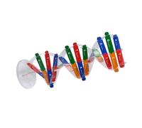 BESPORTBLE de DIY Doble Hélice para Juguete Educativo de Ensamblaje Ayuda Didáctica Biología Kit de Construcción Científica para Enseñanza Escolar Color Aleatorio Color Aleatorio