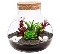 BESPORTBLE De para DIY Tapón De Corcho Natural Frasco Redondo De 15 Cm x 16 Cm Decorativo y Multiusos para Plantas y Flores