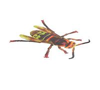 BESPORTBLE Decoración De Pared Avispa Adorno De Jardín Atrapa Arañas Decoración De Libélulas Calcomanías De Pared Juguetes De Telaraña Decoración De Pájaros Decoración De Pared Al Aire