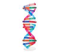 BESPORTBLE Educativo de de Doble Autoensamblable para Ayuda Didáctica Científica con Bases Nucleotídicas Estructura Detallada para Aprendizaje Escolar y Desarrollo de Concentración