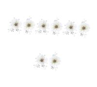 BESPORTBLE Hebilla Del Zapato De Flor De Perlas Paseo Dama De Honor Decoración Novia Boda Nupcial Clips De Zapatos De Diamantes De Imitación Aleación 2 Piezas X 4