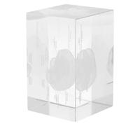 BESPORTBLE Herramienta científica anatómica de cerebro humano en cristal con diseño tridimensional, cubo decorativo para enseñanza y uso en oficina