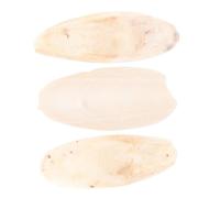 BESPORTBLE Juguetes De Hueso De Sepia Jibia para Morder Molar Calcio Ideal para Hámster Loro Tortugas Colgante para Mascotas