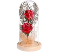 BESPORTBLE Lámpara LED de Escritorio Flor de Jabón Eterna Roja Cubierta de Vidrio Luz de Noche Decorativa sin Batería para Hogar Oficina y Ambiente Romántico