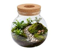 BESPORTBLE Terrario de Mesa para Plantas Hidropónicas Jarrón de Vidrio Pequeño Tapa Contenedor de Flores de Agua para Decoración de Escritorio y Jardinería Hidropónica