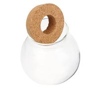 BESPORTBLE Terrario De Plantas Hidropónicas Pequeño para Escritorio, Jarrón De Cristal Botella y Tapón, Estación De Propagación De Plantas para Decoración Interior y Cultivo De Agua