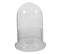 BESPORTBLE Terrario De Transparente para Plantas Tapa Maceta Decorativa para Interior y para Crear Paisajes Naturales Espacios Compactos