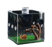 Besreey Terrario de crecimiento de reptiles, carcasa de araña de salto - crecimiento de reptiles terrario, ligero y pequeño criador de animales para tortugas, escarabajos, caracoles y lagartos