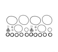 Besshepplo Kit Juntas Tóricas 25013 para Bomba para intex con Válvulas Kit | Material negro, 8 juntas para forma L, 2 juntas tanque, para ideal mantenimiento preventivo