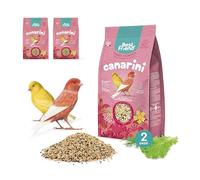 Best Friend Alimento Completo para Canarios con ravizón, Semillas de hinojo y Lechuga, Paquete de 2 Paquetes. Alimento para pájaros con Ingredientes Naturales, Fabricado en Italia