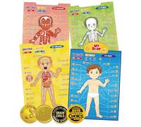 BEST LEARNING i-Poster mi Cuerpo - Juego Educativo Interactivo de anatomía Humana para Aprender Partes del Cuerpo, órganos, músculos y Huesos para niños de 5 a 12 años (Versión en inglés)