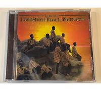 Best of Ladysmith Black Mambaz