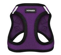 Best Pet Supplies - Arnés Voyager Step-in Air Hecho de Malla Apta para Todos los climas; arnés Tipo Chaleco para Colocar por Las Patas para Perros pequeños y medianos, Base Morada, XS