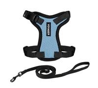 Best Pet Supplies - Arnés Voyager Step-in Lock con Correa Reflectante para Perro, con Mango de Neopreno, 1.5 m, para Gatos de Raza pequeña, Mediana y Grande, Color Azul Celeste/Borde Negro, Talla XS