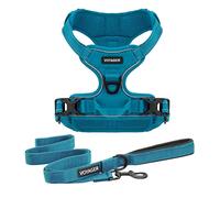 Best Pet Supplies Best Pet Supplies - Conjunto de arnés y Correa para Perros de Doble fijación Voyager, arnés sin tirones para Mascotas, Turquesa, XS (Pecho: 13-17 Pulgadas)