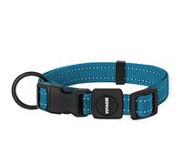 Best Pet Supplies Reflective Dog Collar with Adjustable Length, Heavy-Duty Buckle, and Strong Leash D-Ring, Training, Walking, Jogging Accessory for Small, Medium, and Large Breeds - Turquoise, M