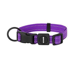 Best Pet Supplies Reflective Dog Collar with Adjustable Length, Heavy-Duty Buckle, and Strong Leash D-Ring, Training, Walking, Jogging Accessory for Small, Medium, and Large Breeds - Purple, L