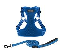 Best Pet Supplies Voyager - Arnés de Malla Transpirable para Perro, Costuras Reflectantes, Ajustable para Todo Tipo de Clima, Resistente y Duradero, Juego de arnés y Correa (Azul Rey), Talla L