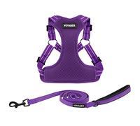 Best Pet Supplies Voyager - Arnés de Malla Transpirable para Perro, Costuras Reflectantes, Ajustable para Todo Tipo de Clima, Resistente y Duradero, Juego de arnés y Correa (Morado), Talla M