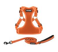 Best Pet Supplies Voyager - Juego de Correa de arnés Ajustable para Perro con Rayas Reflectantes para Caminar, Resistente, Chaleco sin tirones con Correa en D, Transpirable para Todo Tipo de Clima,