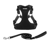 Best Pet Supplies Voyager - Juego de Correa de arnés Ajustable para Perro con Rayas Reflectantes para Caminar, Resistente, Chaleco sin tirones con Correa en D, Transpirable para Todo Tipo de Clima,