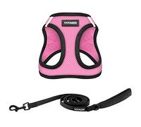 Best Pet Supplies Voyager Step-in Air Arnés de malla para todo tipo de clima y correa reflectante de 1,5 m con mango de neopreno, para perros pequeños, medianos y grandes, rosa/borde negro, talla XXXS