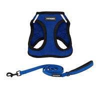 Best Pet Supplies Voyager Step-in Air - Arnés de Malla para Todo Tipo de Clima y Correa Reflectante de 5 pies con Mango de Neopreno, para Perros pequeños, medianos y Grandes, Color Azul Rey/Borde