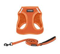 Best Pet Supplies Voyager Step-in Air - Arnés de Malla para Todo Tipo de Clima y Correa Reflectante, de 5' y con asa de Neopreno para Perros pequeños, medianos y Grandes (Color Naranja), S