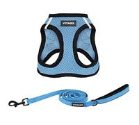 Best Pet Supplies Voyager Step-in Air Arnés de Malla para Todo Tipo de Clima y Correa Reflectante de 1,5 pies con Mango de Neopreno, para Perros pequeños, medianos y Grandes, Azul bebé/Borde Negro, M