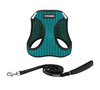 Best Pet Supplies Voyager Step-in Air Arnés de Malla para Todo Tipo de Clima y Correa Reflectante de 1,5 m con Mango de Neopreno, para Perros pequeños, medianos y Grandes, Turquesa (2 Tonos), XS