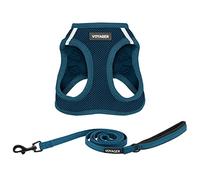 Best Pet Supplies Voyager Step-in Air - Arnés de Malla para Todo Tipo de Clima y Correa Reflectante, de 5' y con asa de Neopreno para Perros pequeños, medianos y Grandes (Color Azul), M