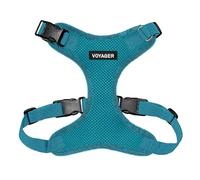 Best Pet Supplies Voyager Step-in Lock - Arnés para Mascotas, Malla para Todo Tipo de Clima, arnés Ajustable para Gatos y Perros, Color Turquesa (Borde a Juego), Talla L (Pecho: 19-30 Pulgadas)